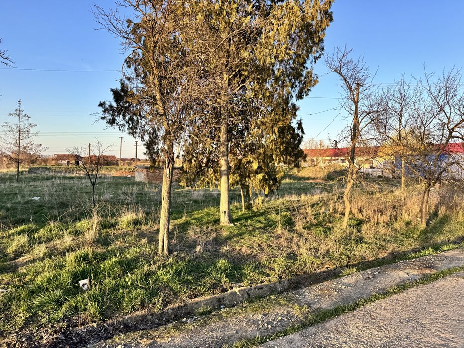 Vand teren intravilan cu cladiri si hale