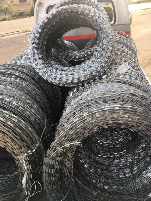 Егоза, Колючая проволока. Egoza, tikanli sim yegoza kalyuchi provolka.