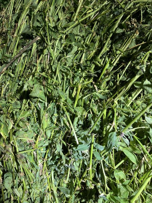 Vând baloti infoliati