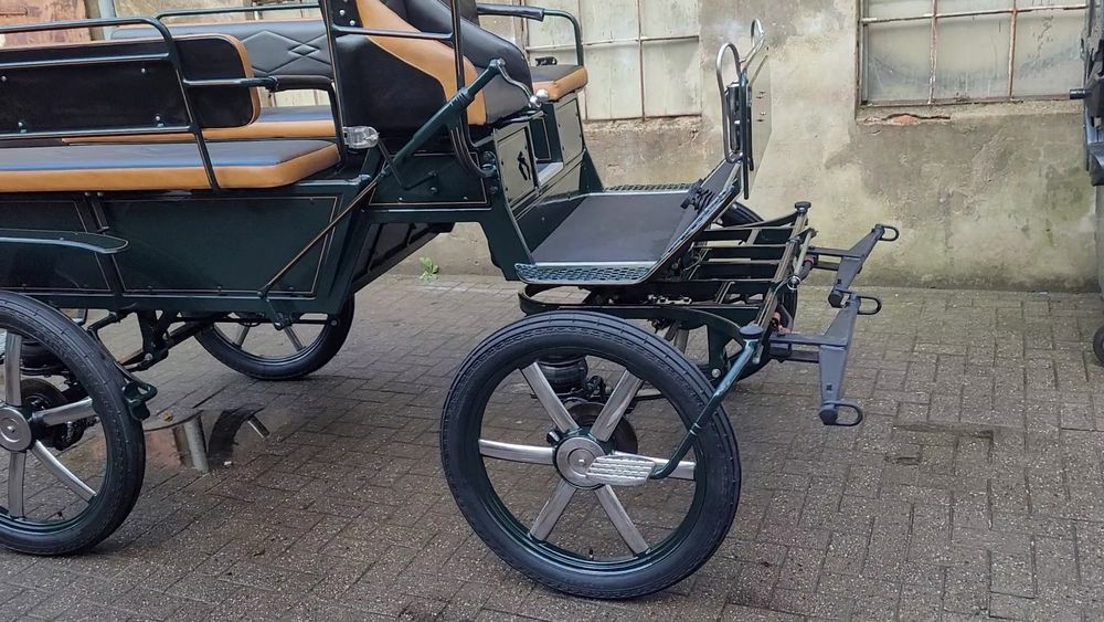 trăsură maraton de 6+2 persoane