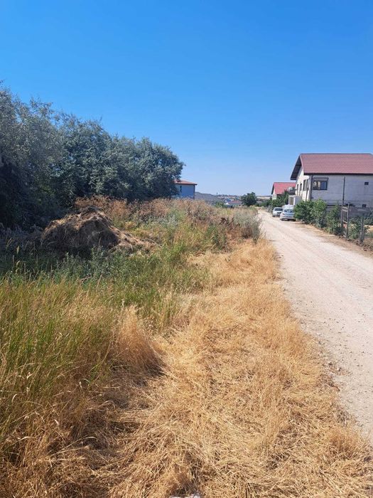 Teren Intravilan 400 mp – LAZU, Langa strada Luceafarului – 26,05 ml deschidere