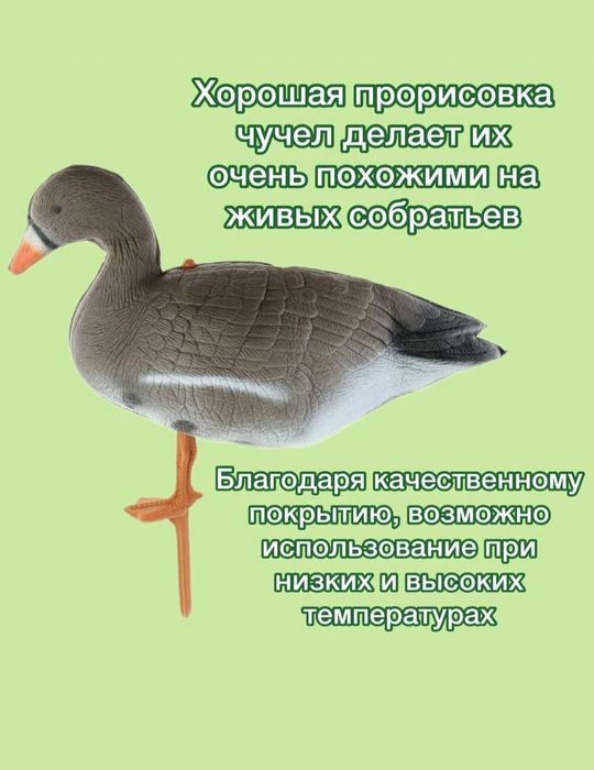 Чучела гусей,  ғоз чучеласи комплект 10 дона