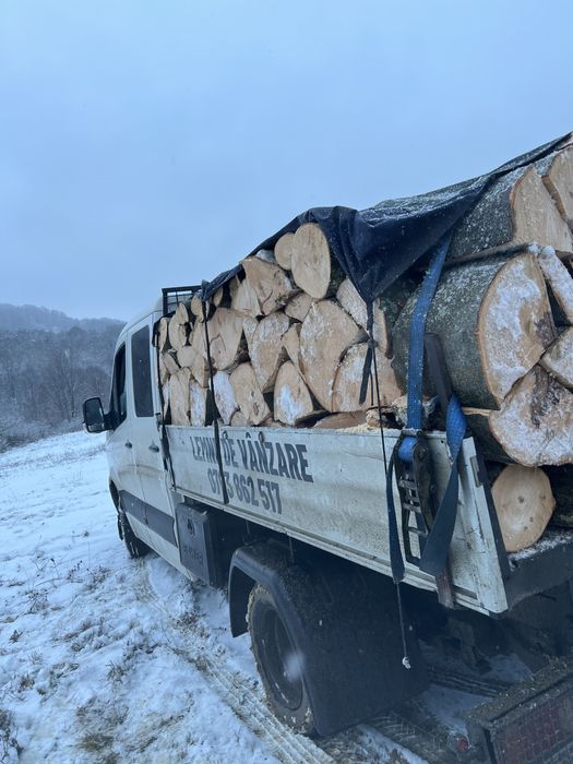 Lemne de foc preț acesibil pentru tota lumea