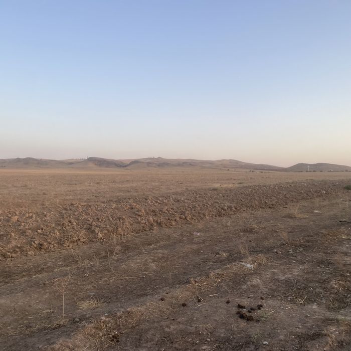 Продам участок 10 га кх