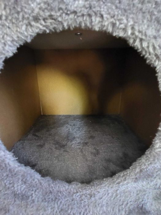 Vand casuta pentru pisica