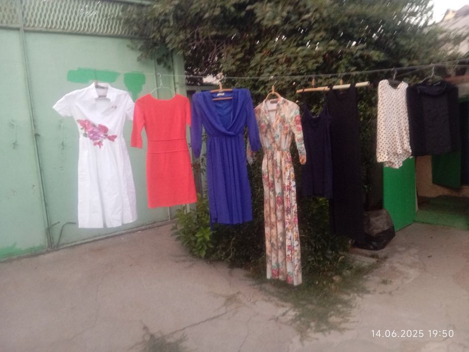 Женская одежда. Платья