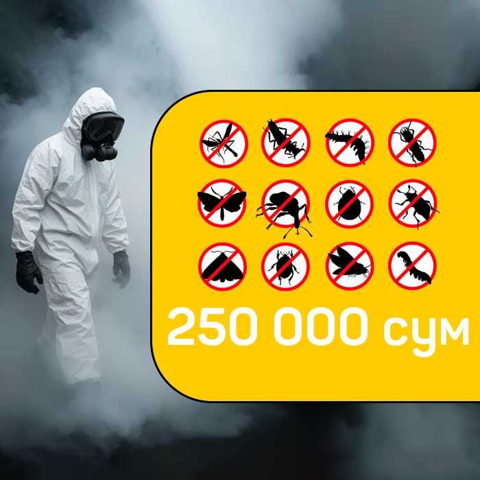 Дизенфекция хизмат бизда ишончли сифатли 24/7 Dezinfeksia Dezinfeks D8