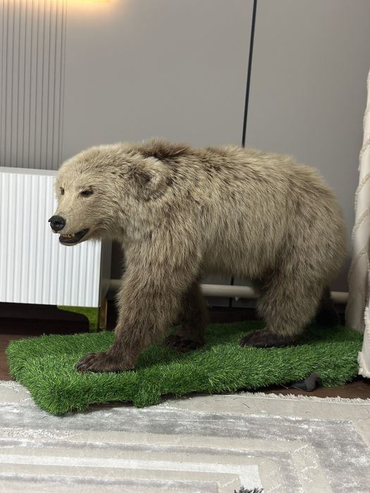 Срочно продам антиквариат Медведь