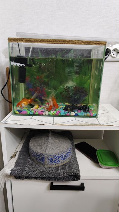 Балықтарымен аквариум/ аквариум с рыбками