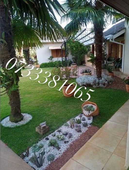 Plante ornamentale tuia,mestecan,ponpon,specialități oriunde in țara