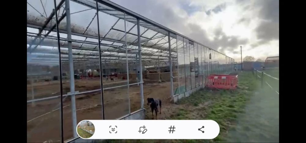 Sera de sticla pe profil metalic