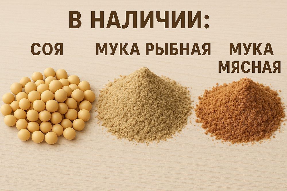 Зерноотходы,  пшеница, комбикорма