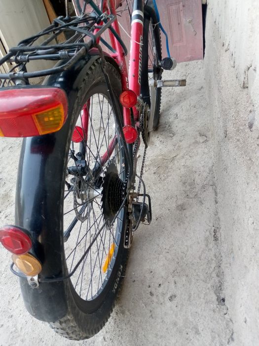 Velik bembekis razmer 26