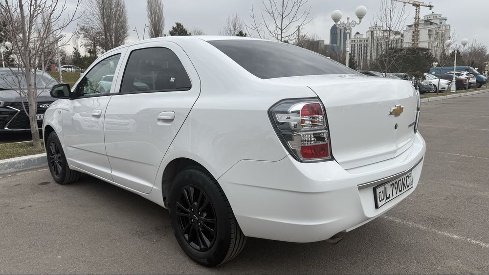 Cobalt Midnight (summit white)