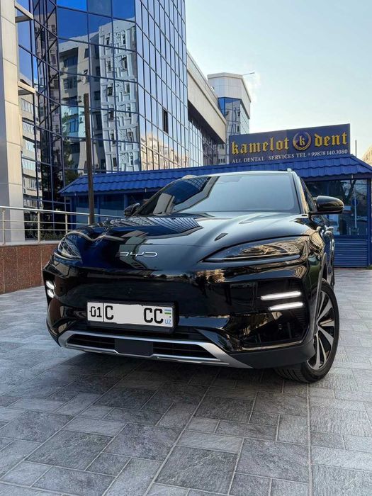 BYD Champion 605 km Full !!!