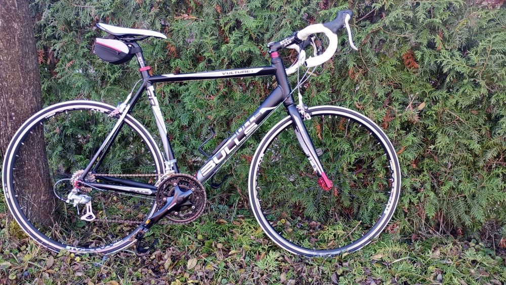 Cursiera Bulls Vulture 1