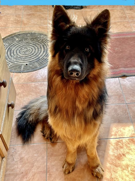 Ищем девучку для вязки мальчику 3 года