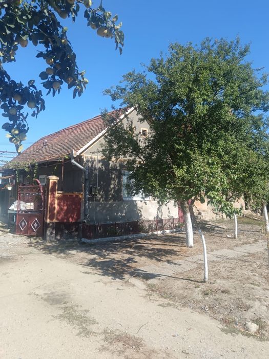 Vând casa sat Somosches comuna cermei jud Arad