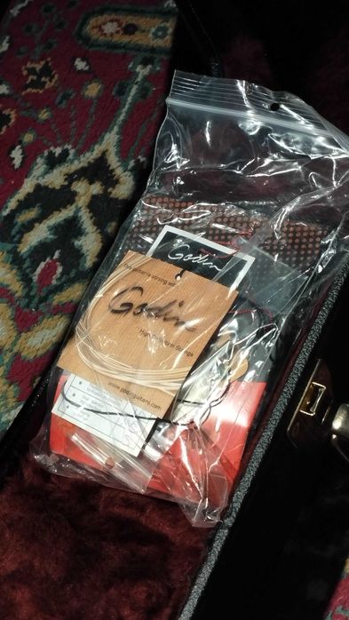 Godin Multiac Guitar Jazz, Lightburst Flame HG