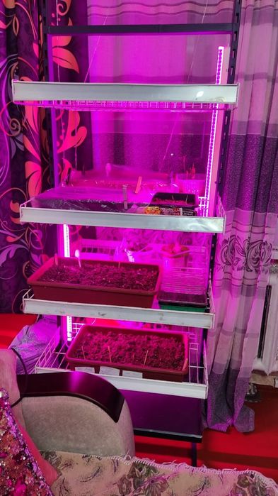 Стилаж для рассады