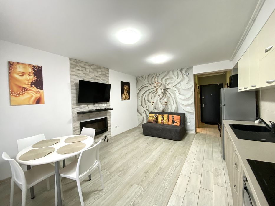 Apartament cu 2 camere (studio) de inchiriat