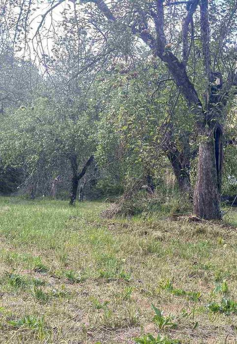 Продава се Парцел в с. Рибарица, Област Ловеч - 1765 кв.м за 26 €/кв.м - Снимка #6