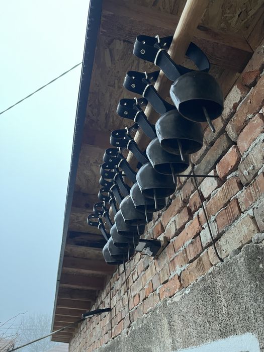 Хлопки, Чанове, Звънци