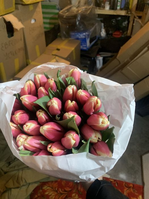 Тюльпаны на 8 марта