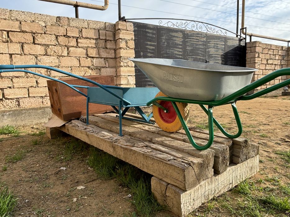 тәшкі.                                .