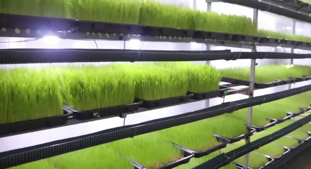 Plastik kasseta (30*60, 640 gr), 1100 dona, narxi 9000 soʼmdan