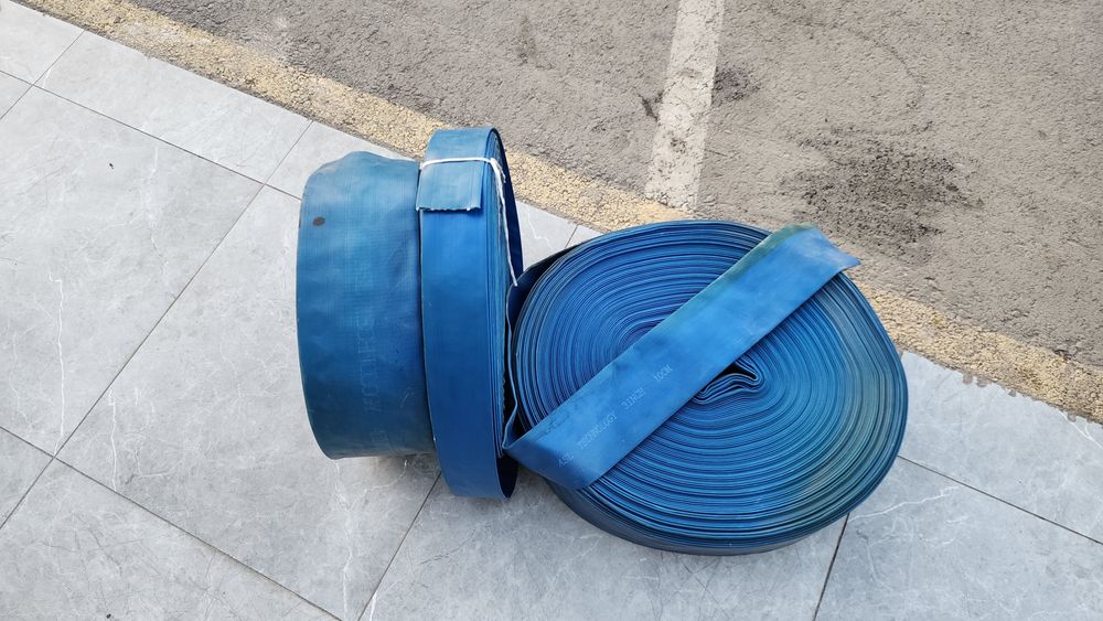 Pajarniy shlang arginali