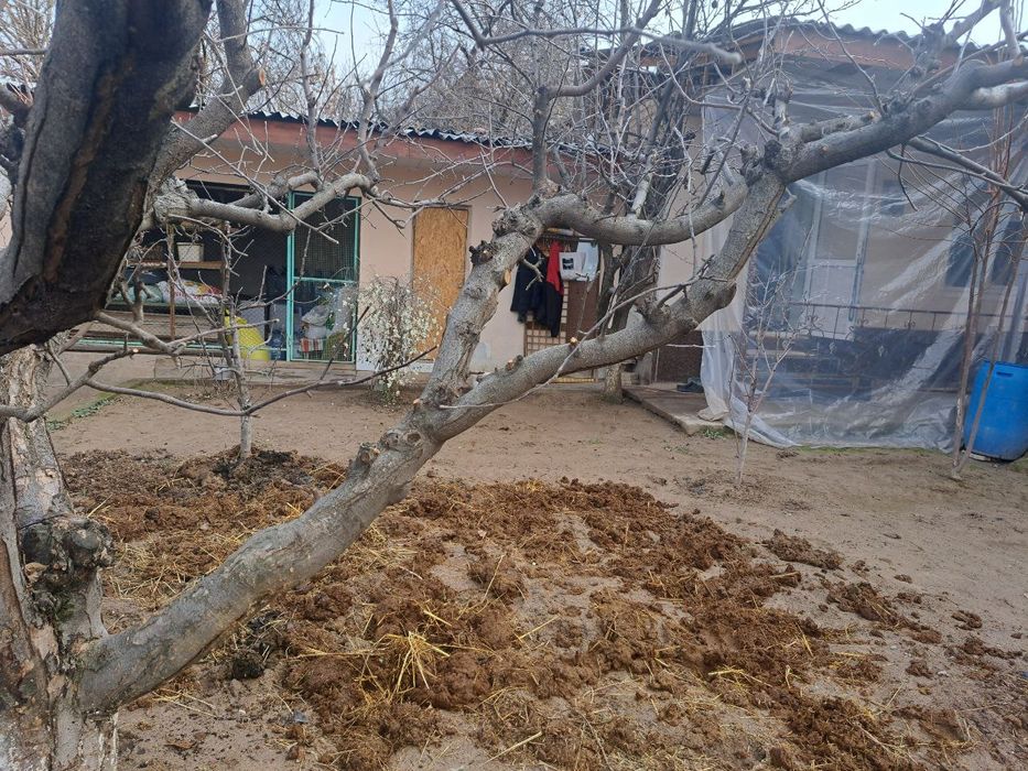 Uy sotiladi yshashga tayyor