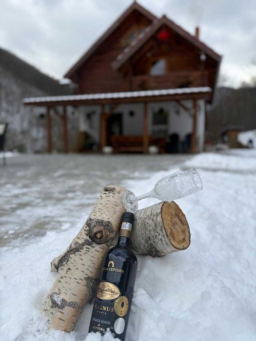 Cabană Închirieri Evenimente Cugir-Alba REZERVATĂ REVELION