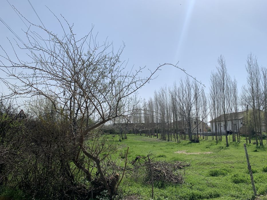 Йер 15 сутик сотилади