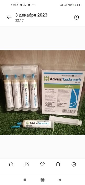 Таракан каламуш сичкон дори kley qopqon ( новые каробка) AQSh original