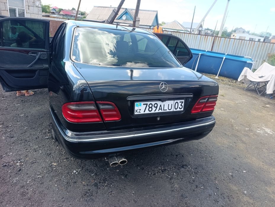 Продам живого мерса