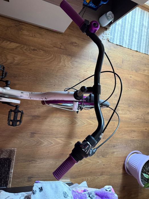 Bicicletä fete Bergsteiger adusä din Germania