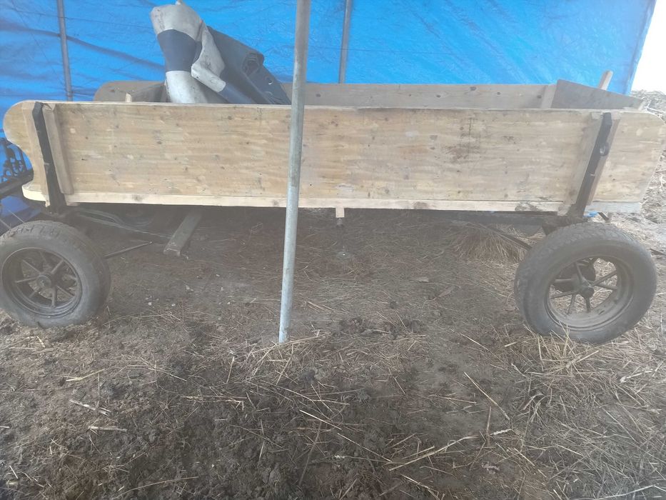 Schimb cu caii caruta