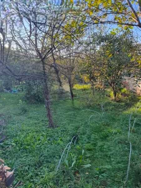 Продава се Парцел в с. Бранище, Област Добрич - 500 кв.м за 12 €/кв.м - Снимка #4