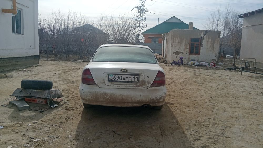 Сатылады журип тур