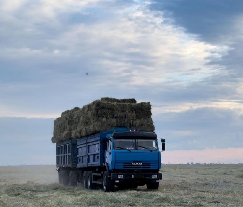 Сено в Тюках и Руллонах