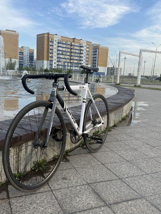 fixed-gear , gray team ,