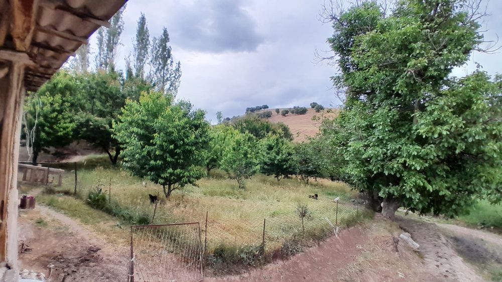 24 соттик участок сотилади Бустонлик тумани Галавасой Тогизкул кишлоги