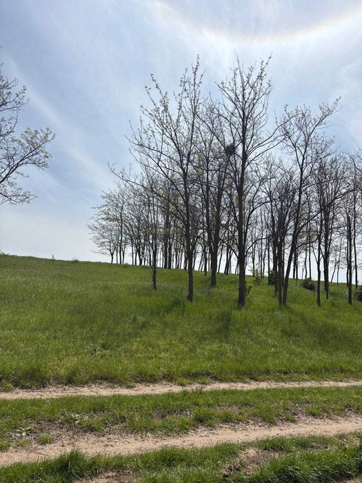 Teren 4 ha cu deschidere la lac langa padure de salcami