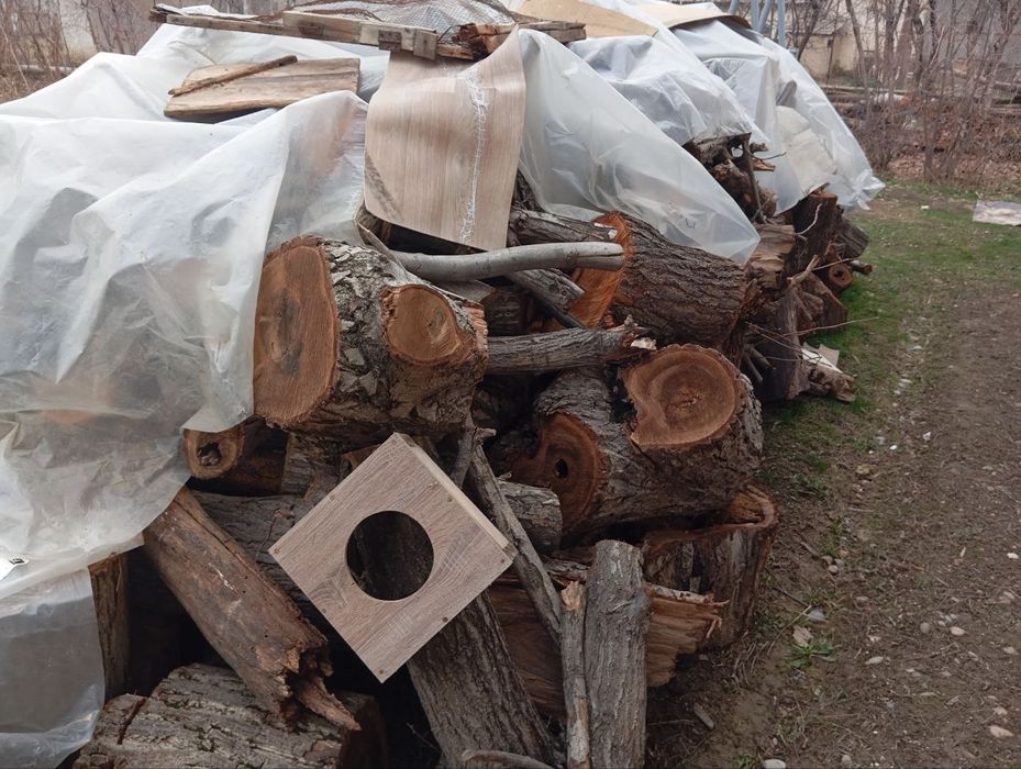 у'тин сотилади. продаётся дрова. йонг'ок, чинор, медали дарахтлар