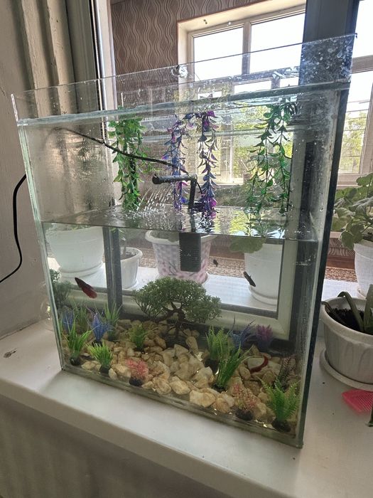 Аквариюм сатылады