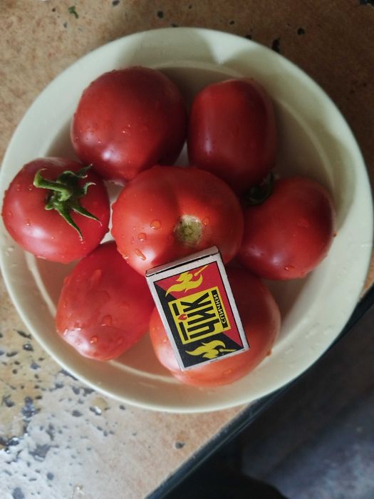 Продам помидоры вкусные