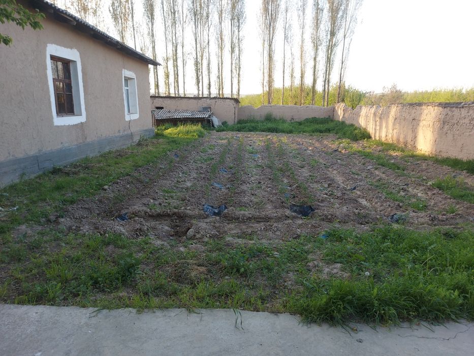 Уй сотилади, катта участка, ховли.