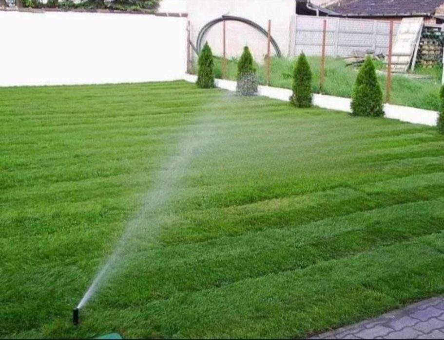 Amenajari gradini calitate superioass