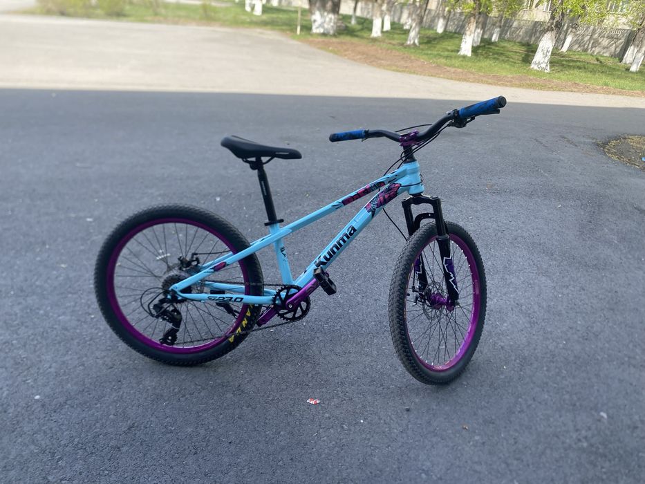 Вилик стант голубой